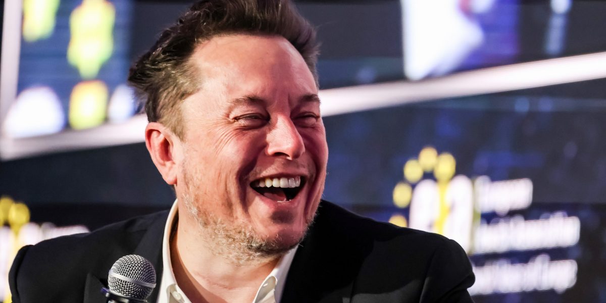 Elon Musk has turned Tesla into a meme stock, top economist says